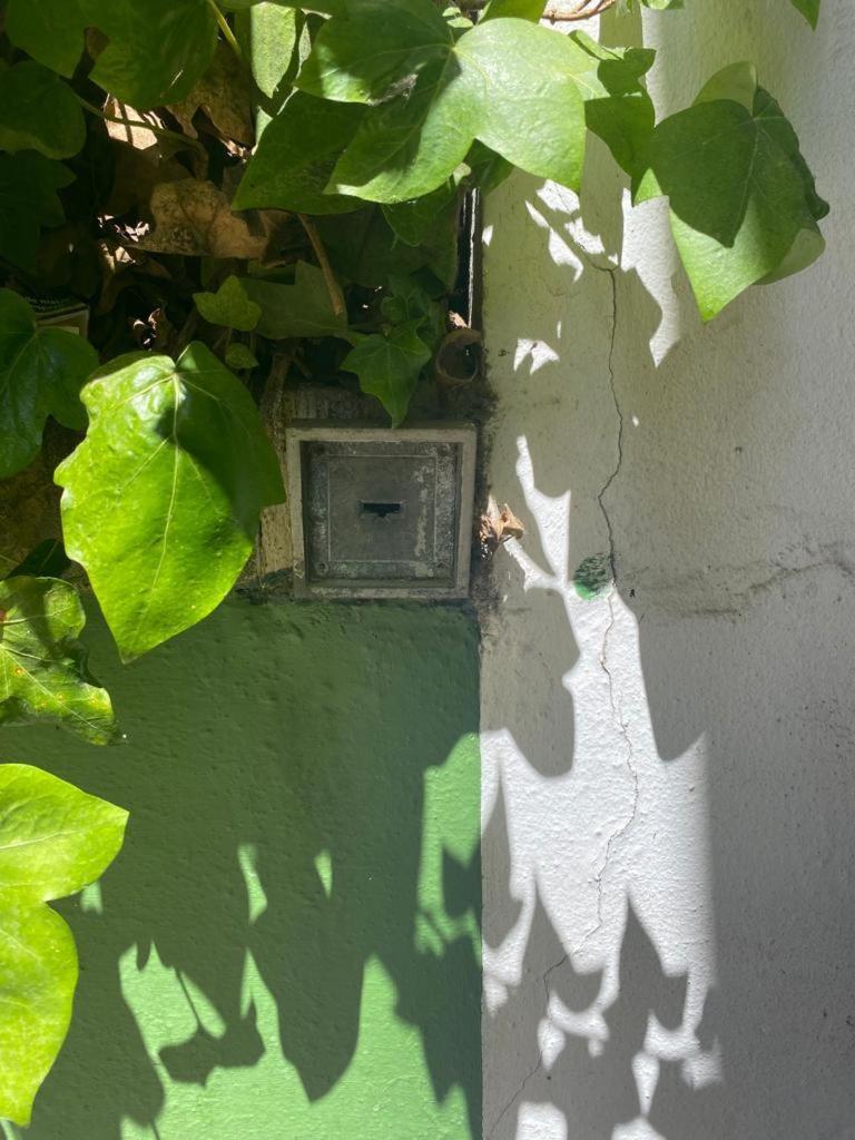 Rentalsevilla San Clemente Eksteriør bilde
